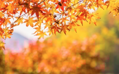 23 сентября: что нельзя делать в День осеннего равноденствия