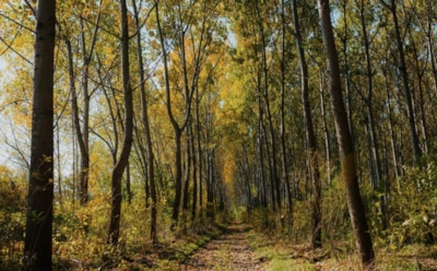 27 сентября: что нельзя делать на Воздвижение Креста Господня