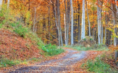 1 октября: что нельзя делать в День памяти епископа Ремигия