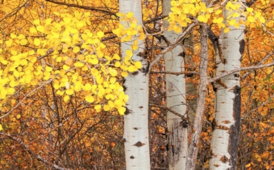 5 октября: что нельзя делать в День памяти пророка Ионы