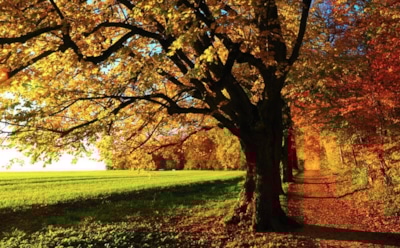 6 октября: что нельзя делать в День памяти митрополита Иннокентия