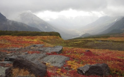 7 октября: что нельзя делать в День памяти Феклы Иконийской