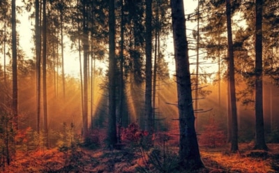 8 октября: что нельзя делать на Покровскую родительскую субботу