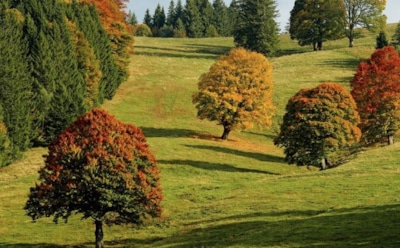 11 октября: что нельзя делать в День памяти Харитона Исповедника