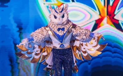 Волочкова или Цискаридзе? Кто же скрывается за маской Совы в шоу «Маска. Танцы»