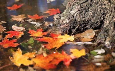 13 октября: что нельзя делать в День памяти Григория Просветителя