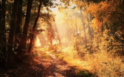 14 октября: что нельзя делать на Покров Пресвятой Богородицы