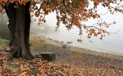 21 октября: что нельзя делать в День памяти Пелагии Антиохийской