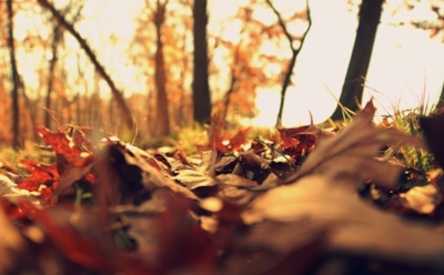 22 октября: что нельзя делать в День памяти Иакова Алфеева