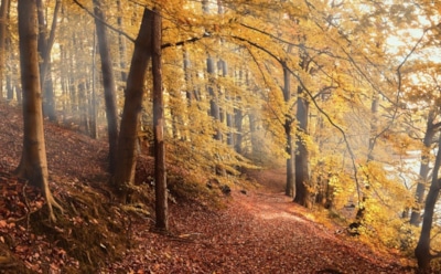 29 октября: что нельзя делать в День памяти Лонгина Сотника