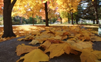 1 ноября: что нельзя делать в День памяти пророка Иоиля