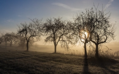 2 ноября: что нельзя делать в День памяти Артемия Антиохийского