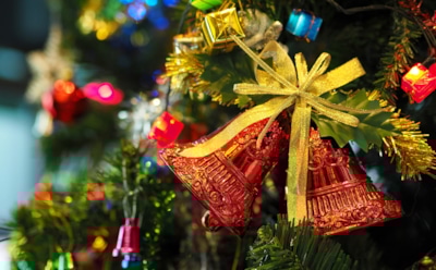 Как правильно встретить 2023-й, чтобы не расстроить хозяина года Кролика