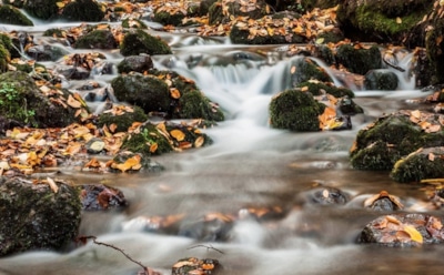 3 ноября: что нельзя делать в День памяти Илариона Великого
