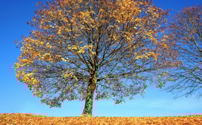 4 ноября: что нельзя делать в День Казанской иконы Божьей Матери