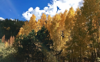 8 ноября: что нельзя делать в День памяти Димитрия Солунского