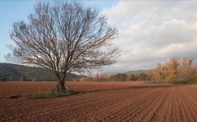 9 ноября: что нельзя делать в День памяти Нестора Солунского