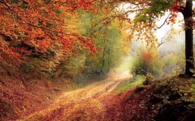 10 ноября: что нельзя делать в День памяти великомученицы Параскевы