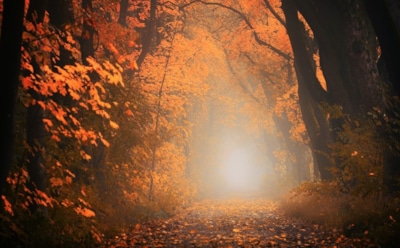 11 ноября: что нельзя делать в День памяти Анастасии Римской