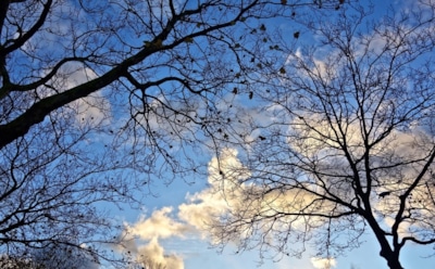 15 ноября: что нельзя делать в День памяти Маркиана Кирского