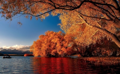 16 ноября: что нельзя делать в День памяти Акепсима, Иосифа и Аифала