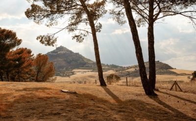 18 ноября: что нельзя делать в День памяти архиепископа Ионы