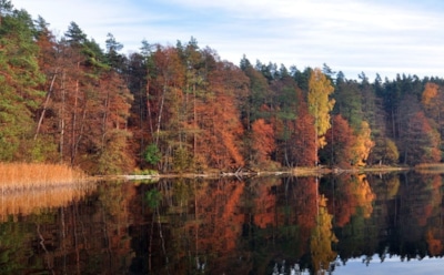 22 ноября: что нельзя делать в День памяти Онисифора и Порфирия