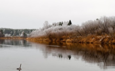 24 ноября: что нельзя делать в День памяти Виктора Дамасского
