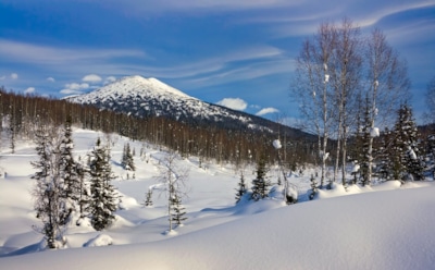 У природы разная погода: прогнозы на январь 2023-го