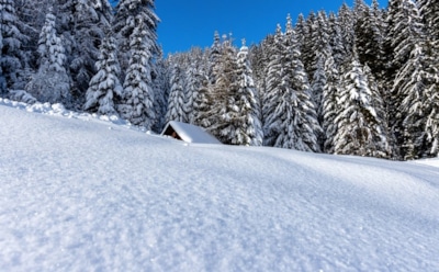 3 декабря: какие праздники отмечают в этот день