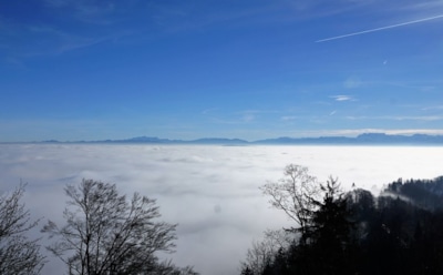 8 декабря: какие праздники отмечают в этот день