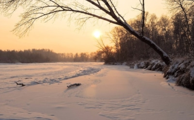 9 декабря: какие праздники отмечают в этот день