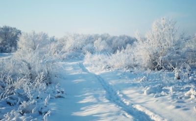 13 декабря: какие праздники отмечают в этот день