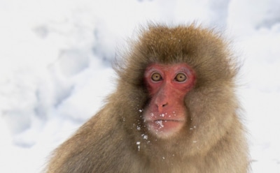 14 декабря: какие праздники отмечают в этот день