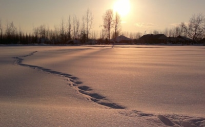 15 декабря: какие праздники отмечают в этот день