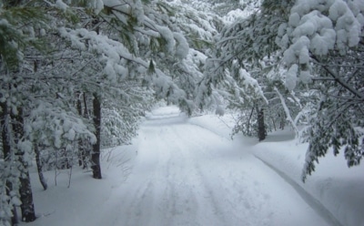 16 декабря: какие праздники отмечают в этот день