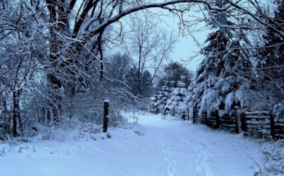 17 декабря: какие праздники отмечают в этот день