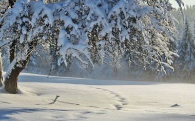 20 декабря: какие праздники отмечают в этот день