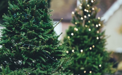 24 декабря: какие праздники отмечают в этот день