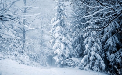 27 декабря: какие праздники отмечают в этот день