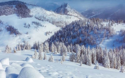 29 декабря: какие праздники отмечают в этот день