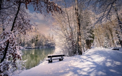 10 января: какие праздники отмечают в этот день