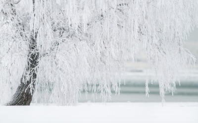 11 января: какие праздники отмечают в этот день