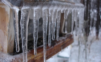 12 января: какие праздники отмечают в этот день