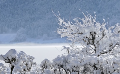 13 января: какие праздники отмечают в этот день