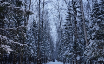 17 января: какие праздники отмечают в этот день