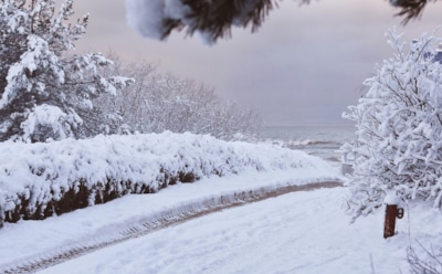 18 января: какие праздники отмечают в этот день