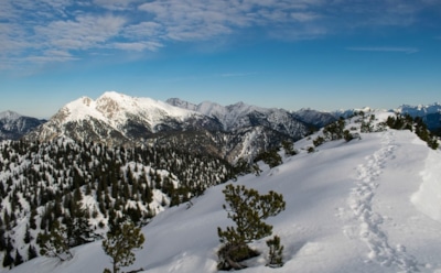 21 января: какие праздники отмечают в этот день