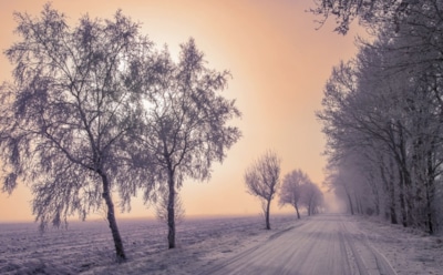 25 января: какие праздники отмечают в этот день