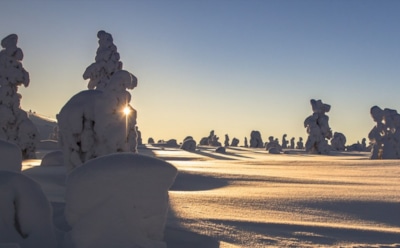 26 января: какие праздники отмечают в этот день
